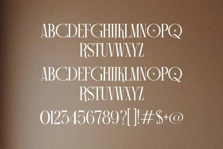 Camiro Elegant Serif Font Typeface preview 4 – Serif Fonts font sample