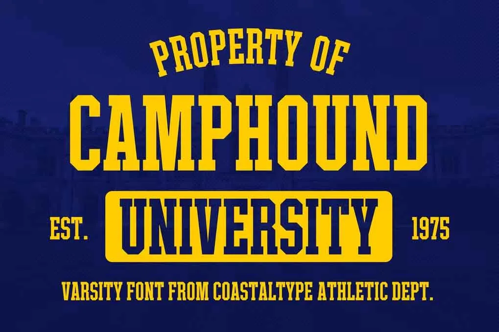 Camphound Font free download – Serif Fonts font preview image for Windows and Mac