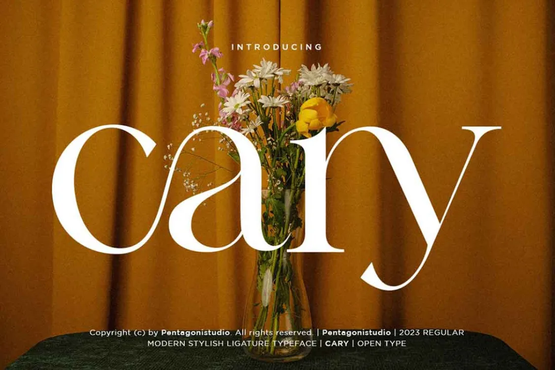 Cary – Classy Serif Font free download – Serif Fonts font preview image for Windows and Mac
