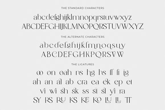 Catalina Village Font free download preview 5 – Serif Fonts font