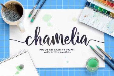 Chamelia Script Font free download – Script font preview