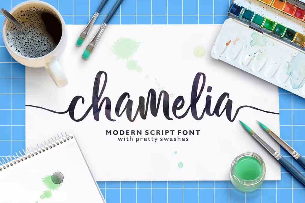 Chamelia Script Font free download – Script And Handwritten font preview image for Windows and Mac