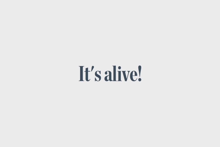 Chronicle Text Font free download preview 2 – Serif Fonts font