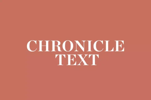 Chronicle Text Font free download preview 5 – Serif Fonts font