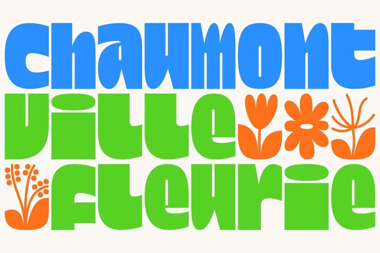 Dina Chaumont Font Family free download preview 5 – Font Family font