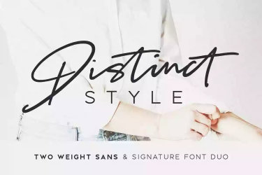 Distinct Style Font free download – Script font preview