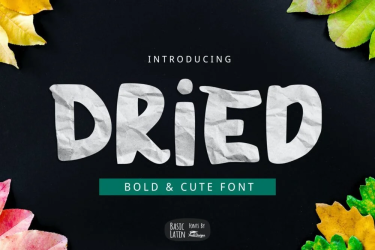 Dried Bold Font free download – Bold font preview
