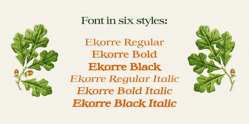 Ekorre Font Family free download preview 2 – Serif Fonts font