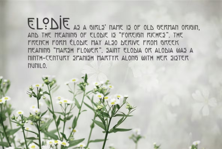 Elodie Hand Sketched Art Nouveau Font free download preview 2 – Sans Serif Fonts font