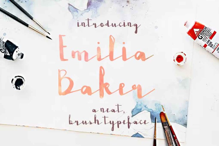 Emilia Baker Font free download preview 3 – Sans Serif Fonts font