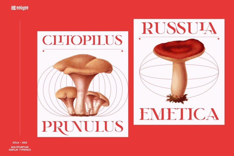 Eola Font free download preview 2 – Serif Fonts font
