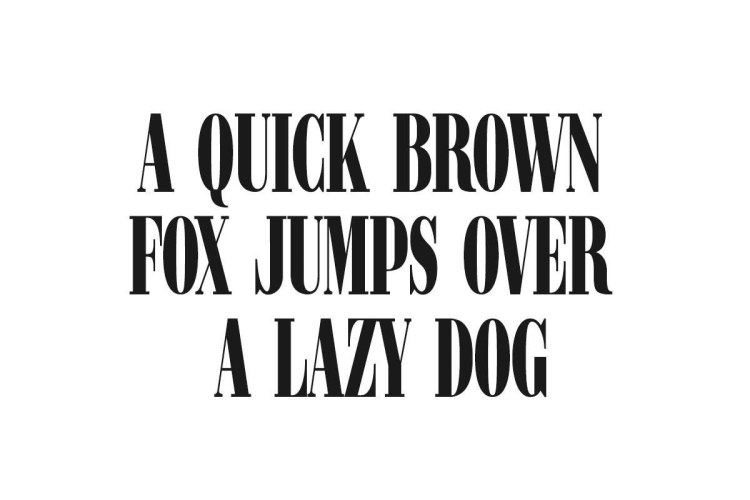Eras Tour Font free download preview 1 – Serif Fonts font