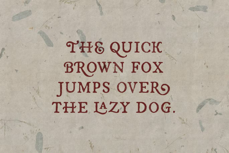 Esther Handmade Font free download preview 2 – Serif Fonts font