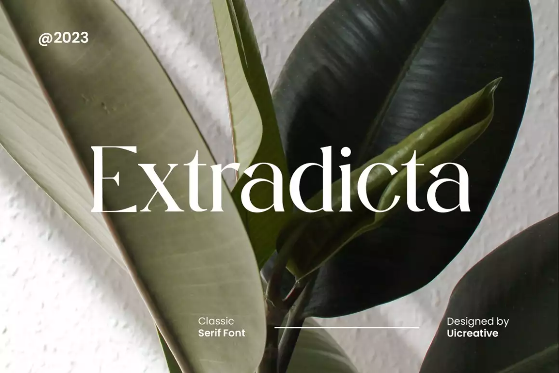 Extradicta Classic Serif Font free download – Serif Fonts font preview image for Windows and Mac