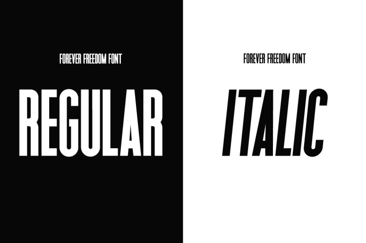Forever Freedom Font free download preview 2 – Sans Serif Fonts font