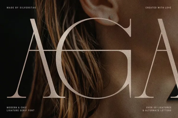 French Voyager Font preview 1 – Serif Fonts font sample
