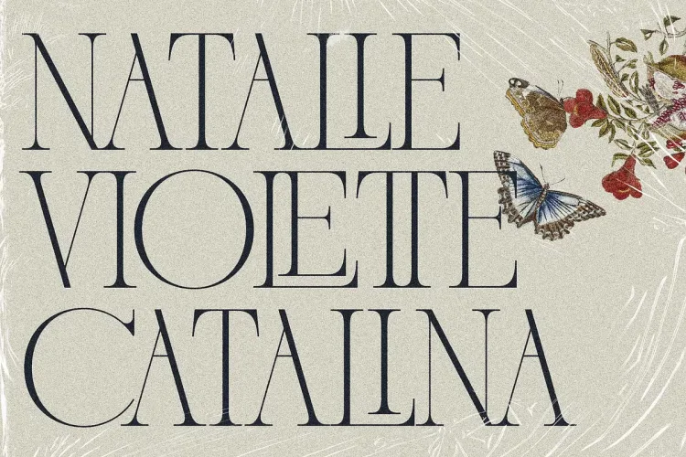 French Voyager Font preview 3 – Serif Fonts font sample