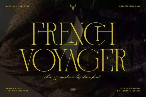French Voyager Font preview 5 – Serif Fonts font sample