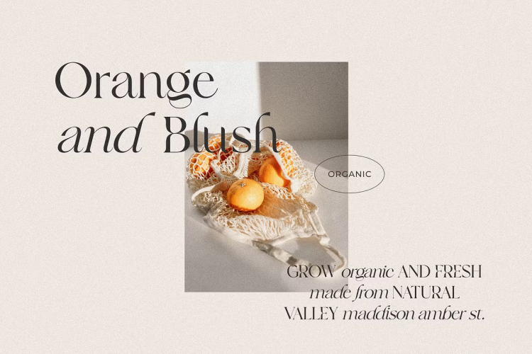 Frunchy Sage Font free download preview 1 – Serif Fonts font