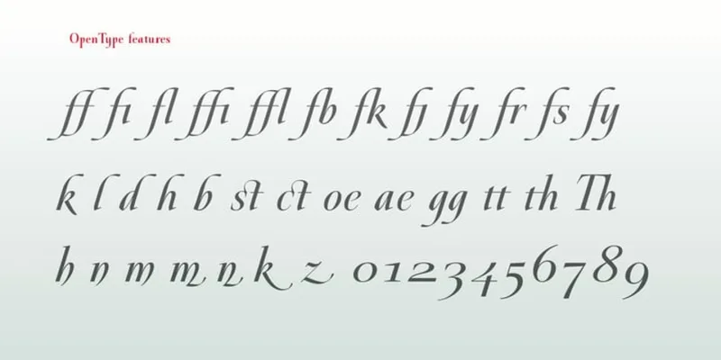 Galdana Font Family free download preview 4 – Serif Fonts font