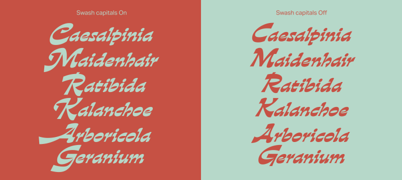 Gardez Font free download preview 2 – Display Fonts font