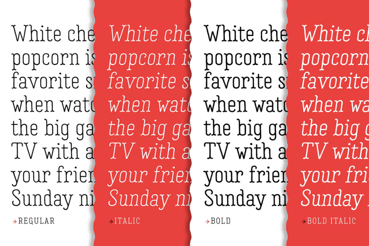 Garlic Salt Font Family free download preview 2 – Serif Fonts font