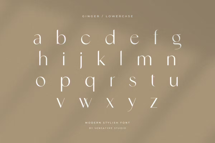 Ginger Font free download preview 7 – Serif Fonts font