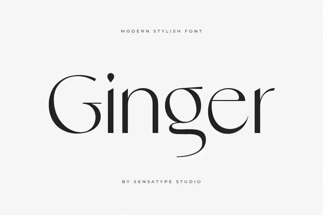 Ginger Font free download – Serif Fonts font preview image for Windows and Mac