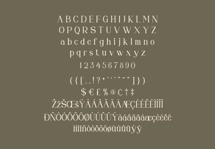 Halona Modern Serif Font free download preview 2 – Serif Fonts font