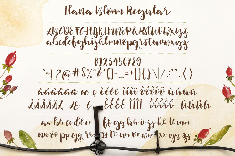 Ilana Bloom Font free download preview 2 – Sans Serif Fonts font