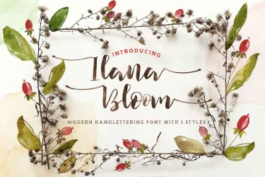Ilana Bloom Font free download – Sans Serif Fonts font preview