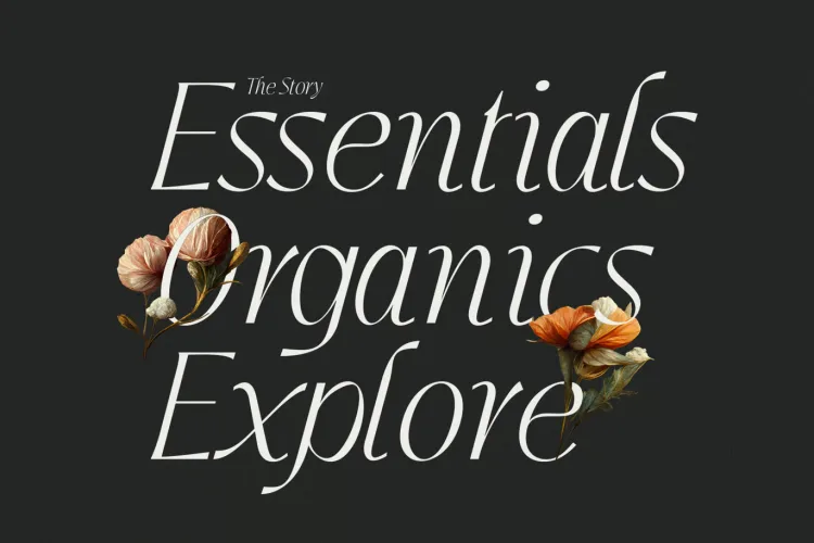 Jedira Font free download preview 3 – Serif Fonts font