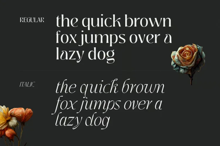 Jedira Font free download preview 4 – Serif Fonts font