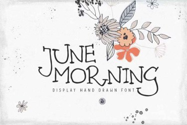 June Morning Font free download – Serif Fonts font preview