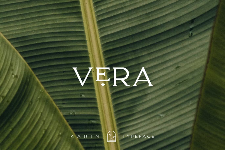 Karin Font free download preview 1 – Script And Handwritten font