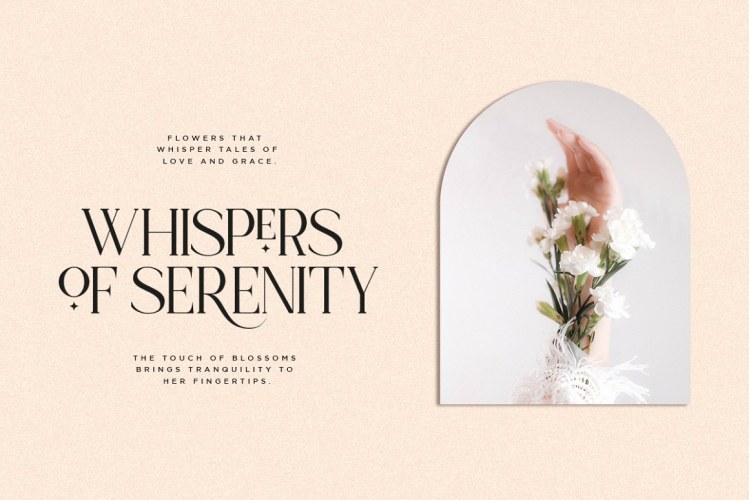 Koela – Modern Serif Font free download preview 3 – Serif Fonts font