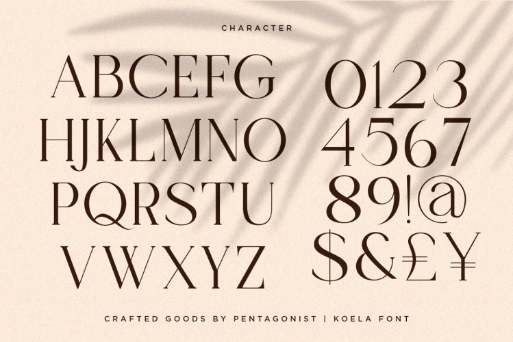 Koela – Modern Serif Font free download preview 4 – Serif Fonts font