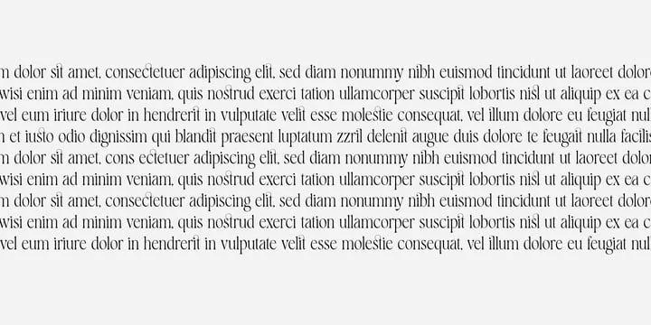 Komrile Font Family free download preview 2 – Serif Fonts font