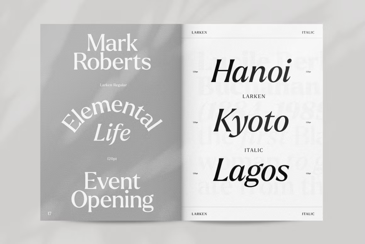 Larken Font free download preview 7 – Serif Fonts font