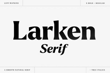 Larken Font free download – Serif Fonts font preview