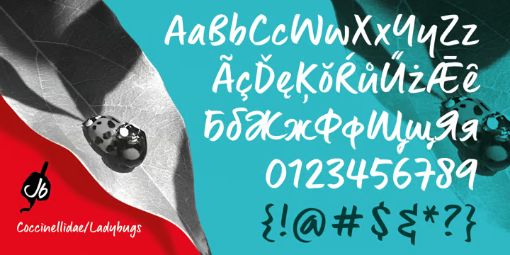 Lingua Font free download preview 4 – Display Fonts font