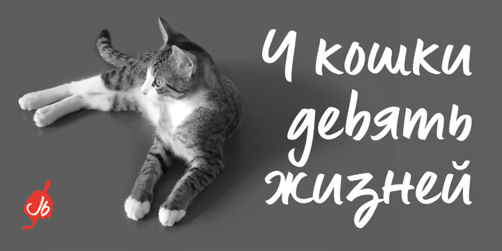Lingua Font free download preview 5 – Display Fonts font
