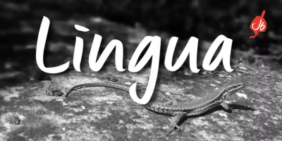 Lingua Font free download – Display Fonts font preview