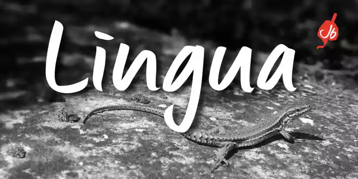 Lingua Font free download preview 8 – Display Fonts font