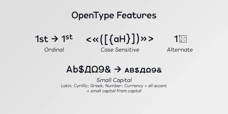 Lonie Font Family free download preview 4 – Sans Serif Fonts font