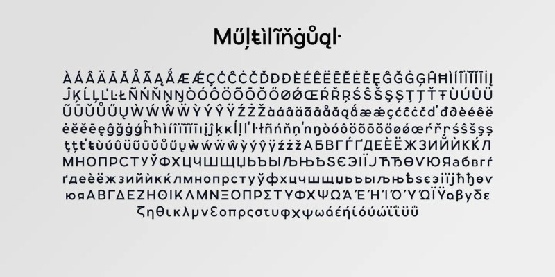 Lonie Font Family free download preview 5 – Sans Serif Fonts font
