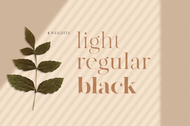 MADE Canvas Font free download preview 2 – Serif Fonts font