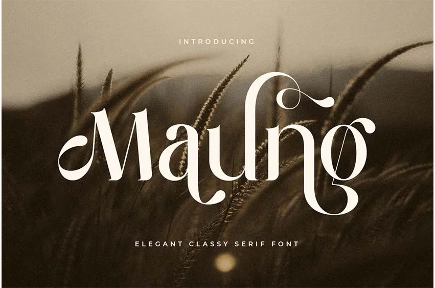 Maung Font free download – Modern Serif Font font preview image for Windows and Mac