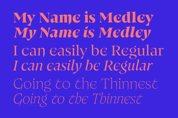 Medley Font Family free download preview 3 – Serif Fonts font