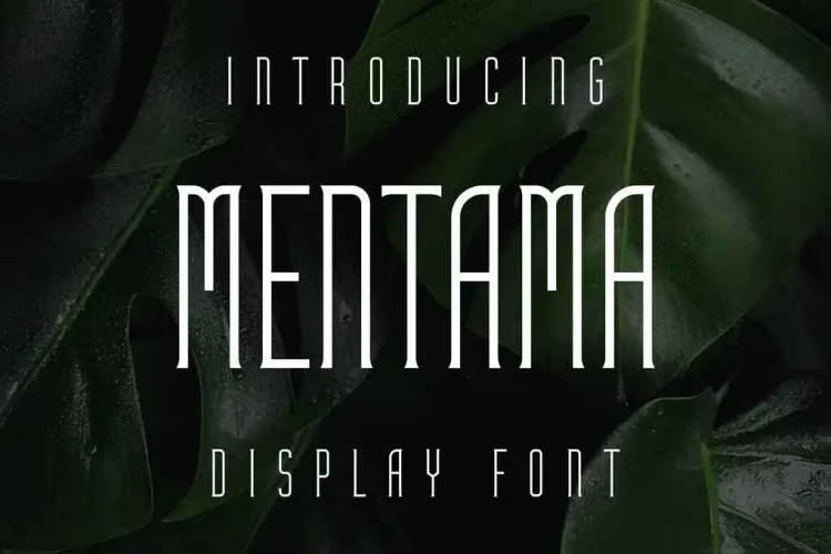 Mentama Font free download preview 4 – Serif Fonts font
